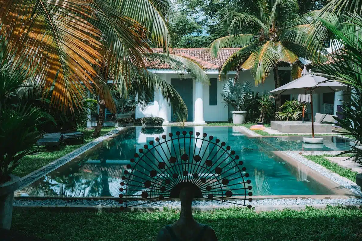 piscine jardin