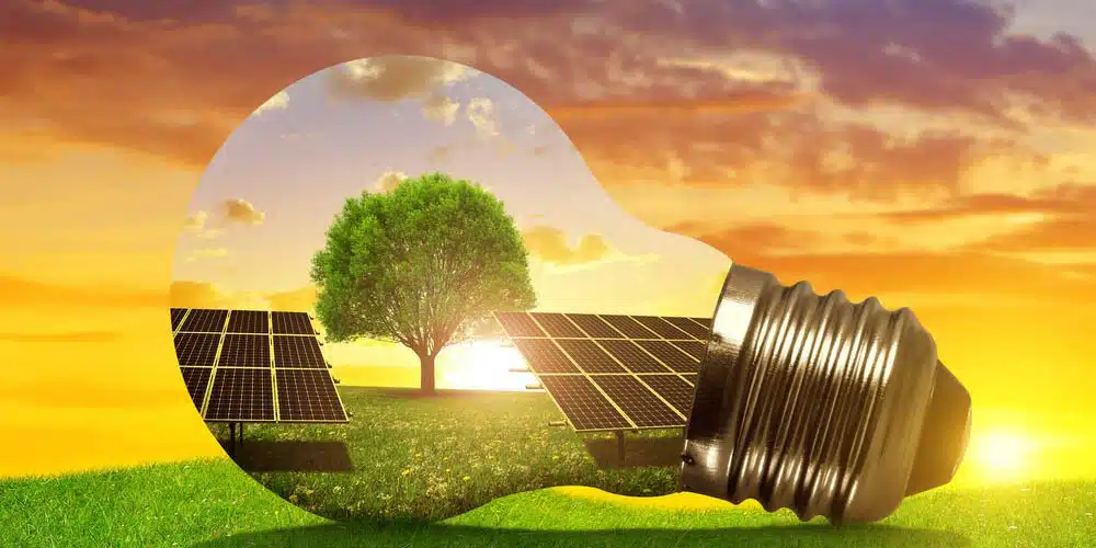 Le décret tertiaire : les obligations des entreprises en matière de performance énergétique