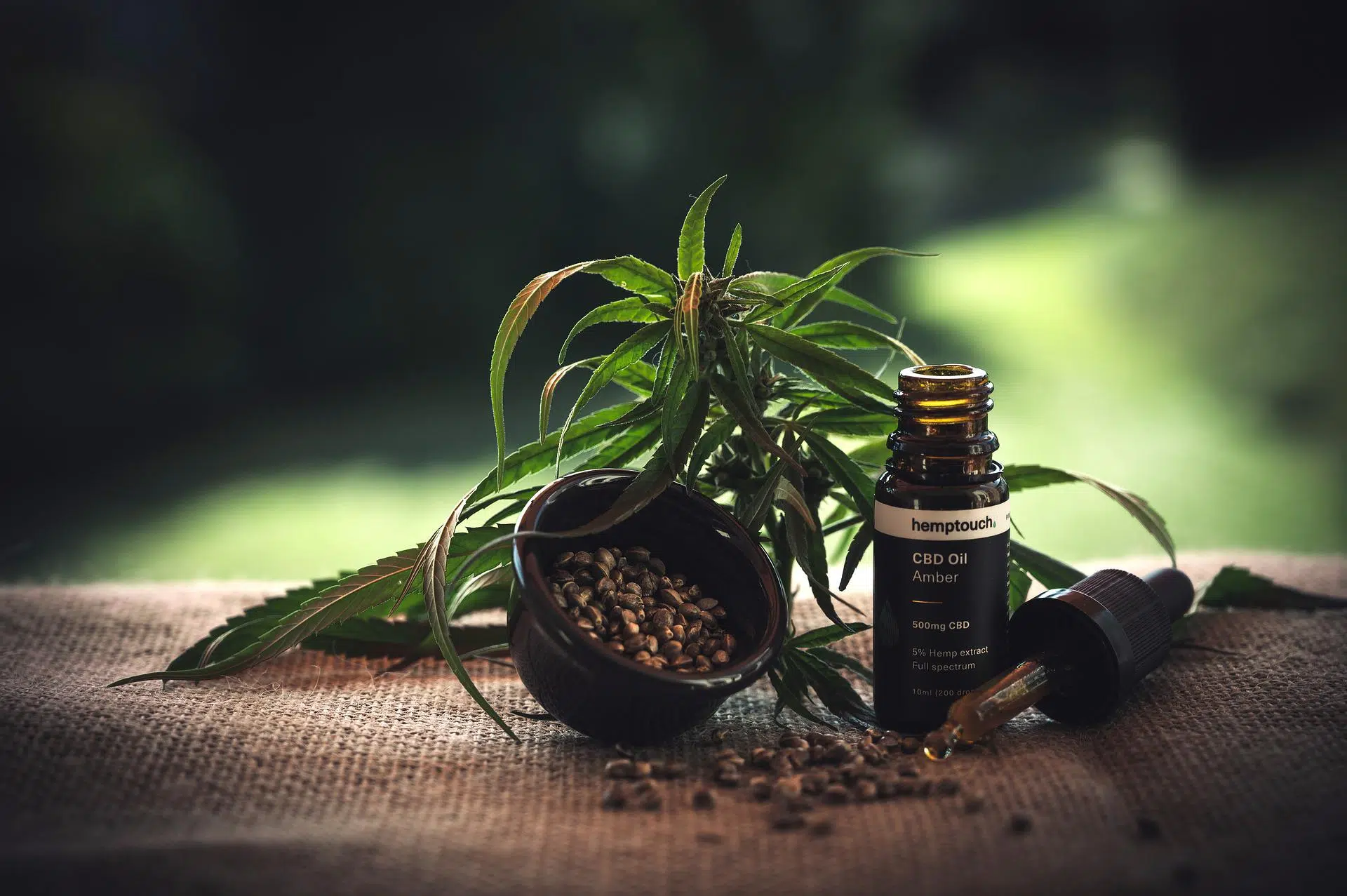 Quels sont les vertus de l’huile de CBD ?
