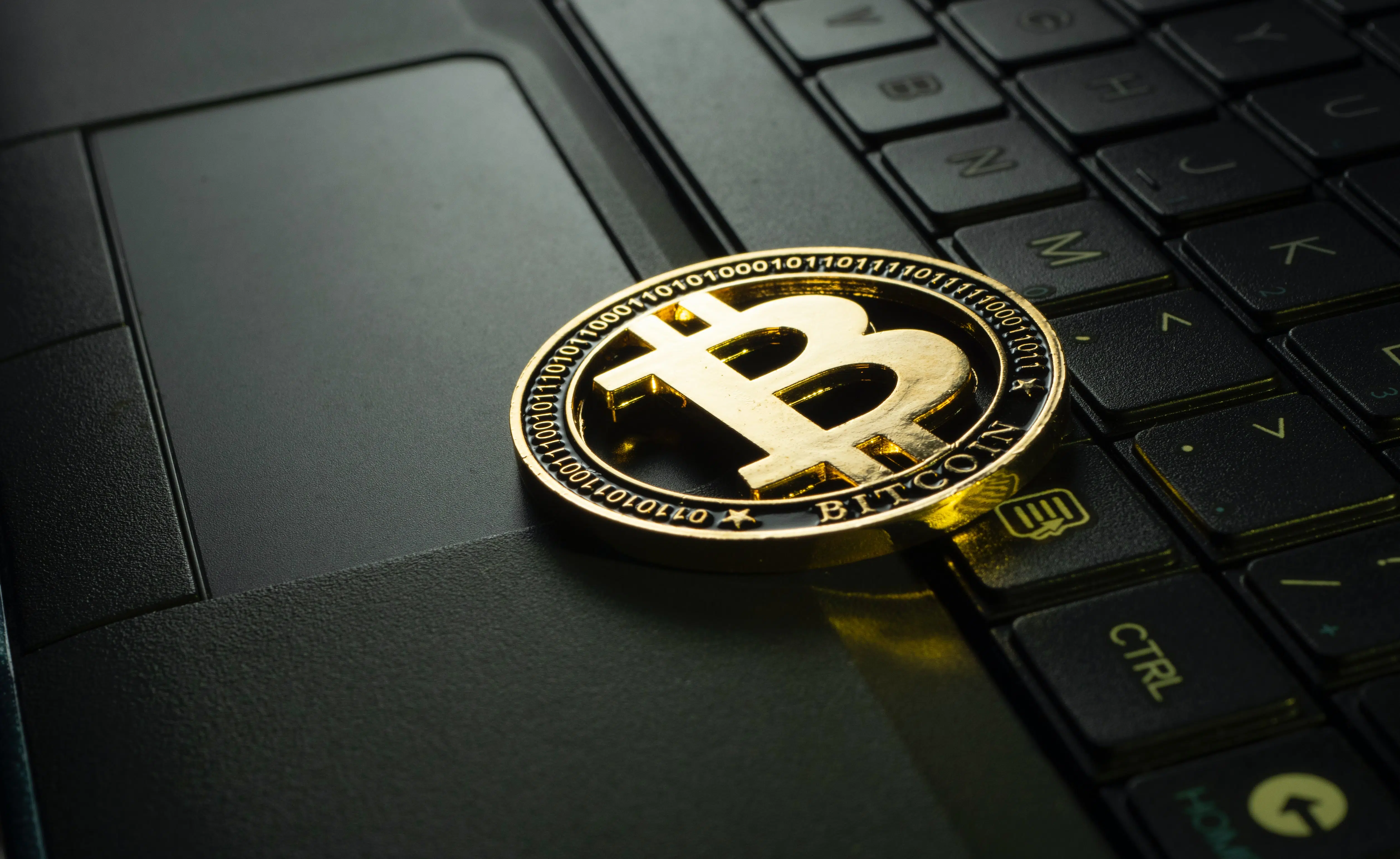 cryptomonnaie