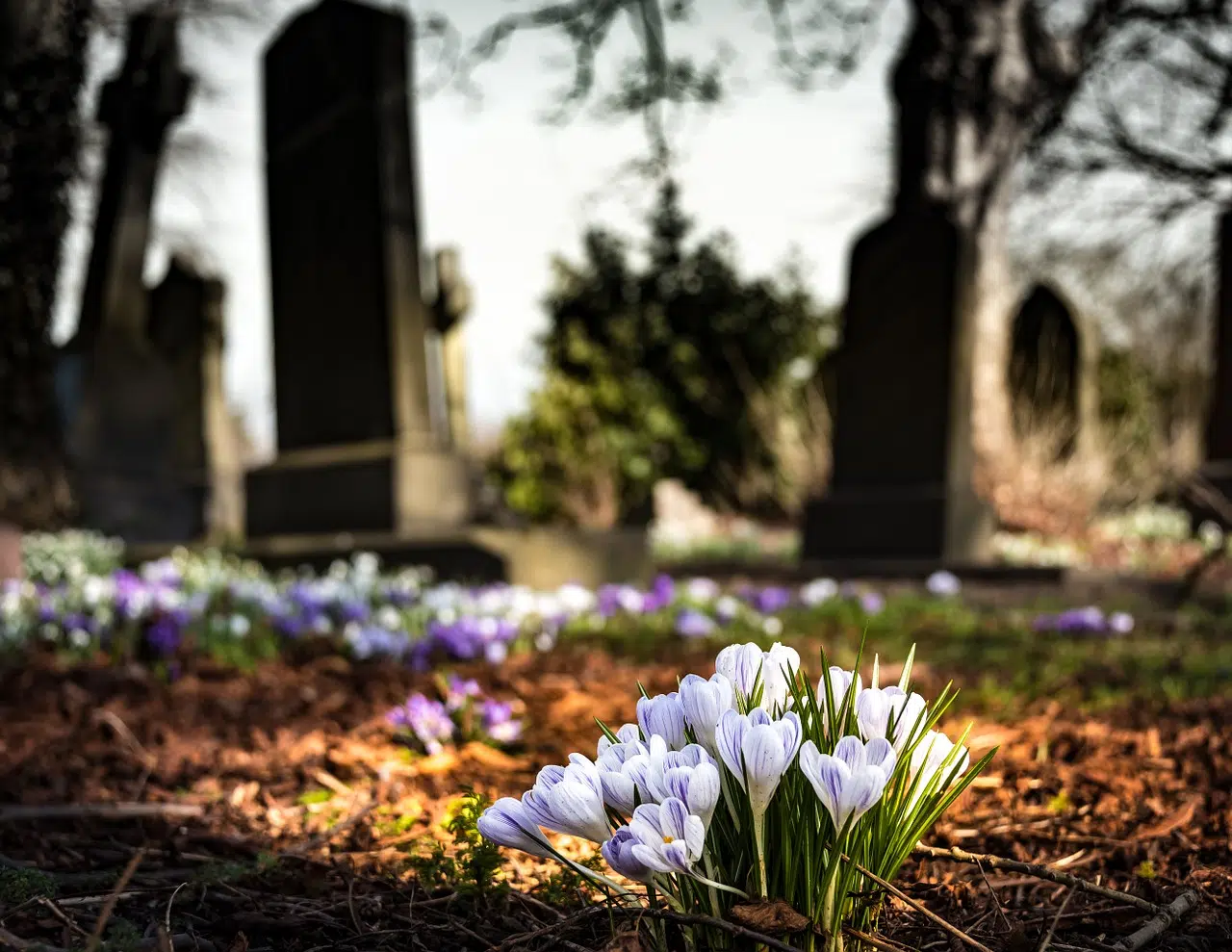 Un cimetière