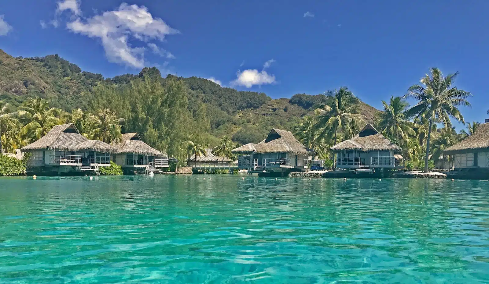Lune de miel à Bora Bora : que faire et visiter ? 