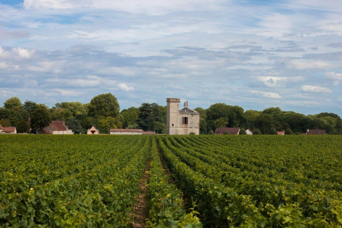 Bourgogne
